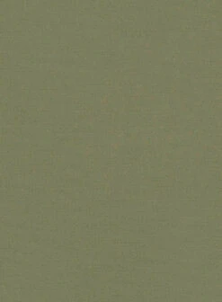 Easy Pants Green Cotton Canvas 19 Easy Pants Green Cotton Canvas -Men's Clothing Shop easypantsgreencanvas 7