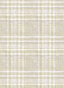 Egildo Checks Linen Shirt 8 Egildo Checks Linen Shirt -Men's Clothing Shop egildocheckslinenshirtlook 2