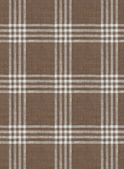 Esar Checks Linen Shirt 8 Esar Checks Linen Shirt -Men's Clothing Shop esarcheckslinenshirtlook 2