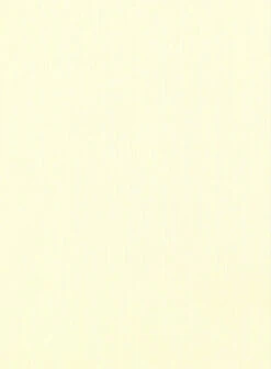 Giza Yellow Cotton Shirt -Men's Clothing Shop gizayellowcottonshirtlook 2