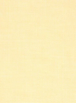 Italian Cotton Silvano Shirt -Men's Clothing Shop italiancottonsilvanoshirtlk 2