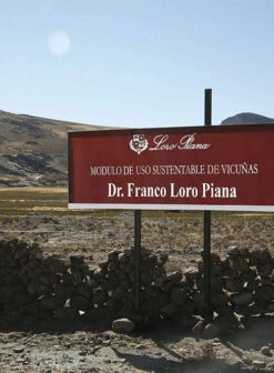 Loro Piana Sand Beige Cotton Pants -Men's Clothing Shop loropianasandbeigecotpantlook 3