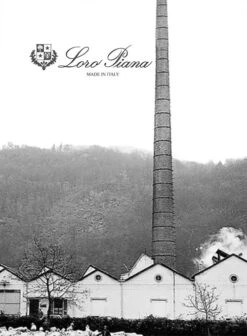 Loro Piana Sand Beige Cotton Pants -Men's Clothing Shop loropianasandbeigecotpantlook 4