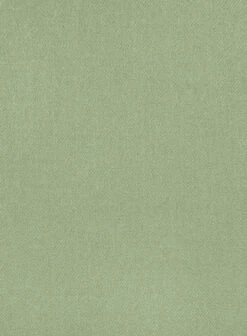 Naples Light Green Tweed Suit -Men's Clothing Shop napleslightgrntwdsuitlook 5