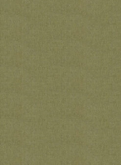 Naples Martini Green Tweed Suit -Men's Clothing Shop naplesmartinigrntwdsuitlk 5