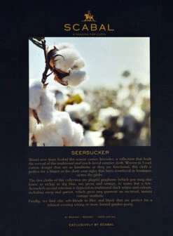 Scabal Nautica Blue Seersucker Pants -Men's Clothing Shop scabalnauticablueseersuckerpantslook 3